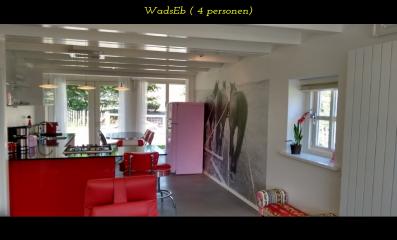 images/accommodaties/beachhouse/wadseb-keuken.jpg