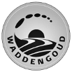 Waddengoud