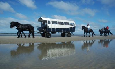 images/watisertedoen/puurterschelling/1.jpeg