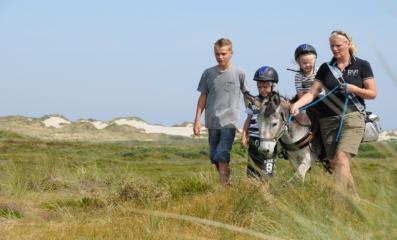 images/watisertedoen/puurterschelling/DSC_0429.jpeg