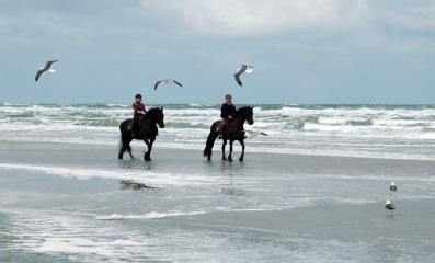 images/watisertedoen/puurterschelling/terschelling.jpeg