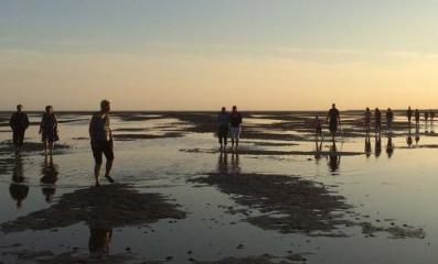 images/watisertedoen/puurterschelling/wadlopen-puur-terschelling.jpg